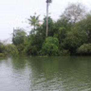 Meet your Posher, Manju